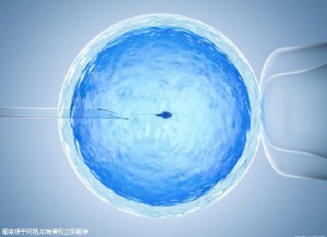 试管供卵公司